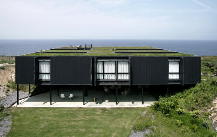 green roofed house